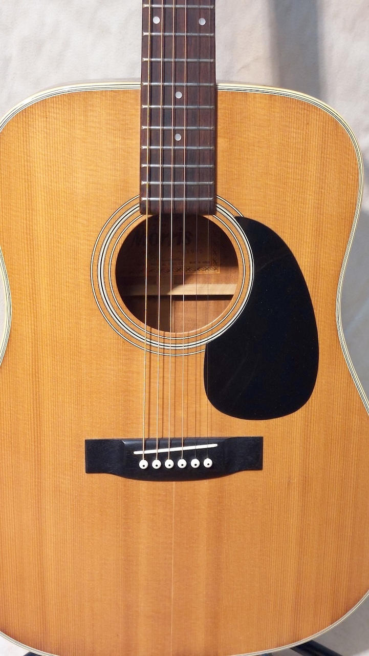 Morris W-20（中古）【楽器検索デジマート】