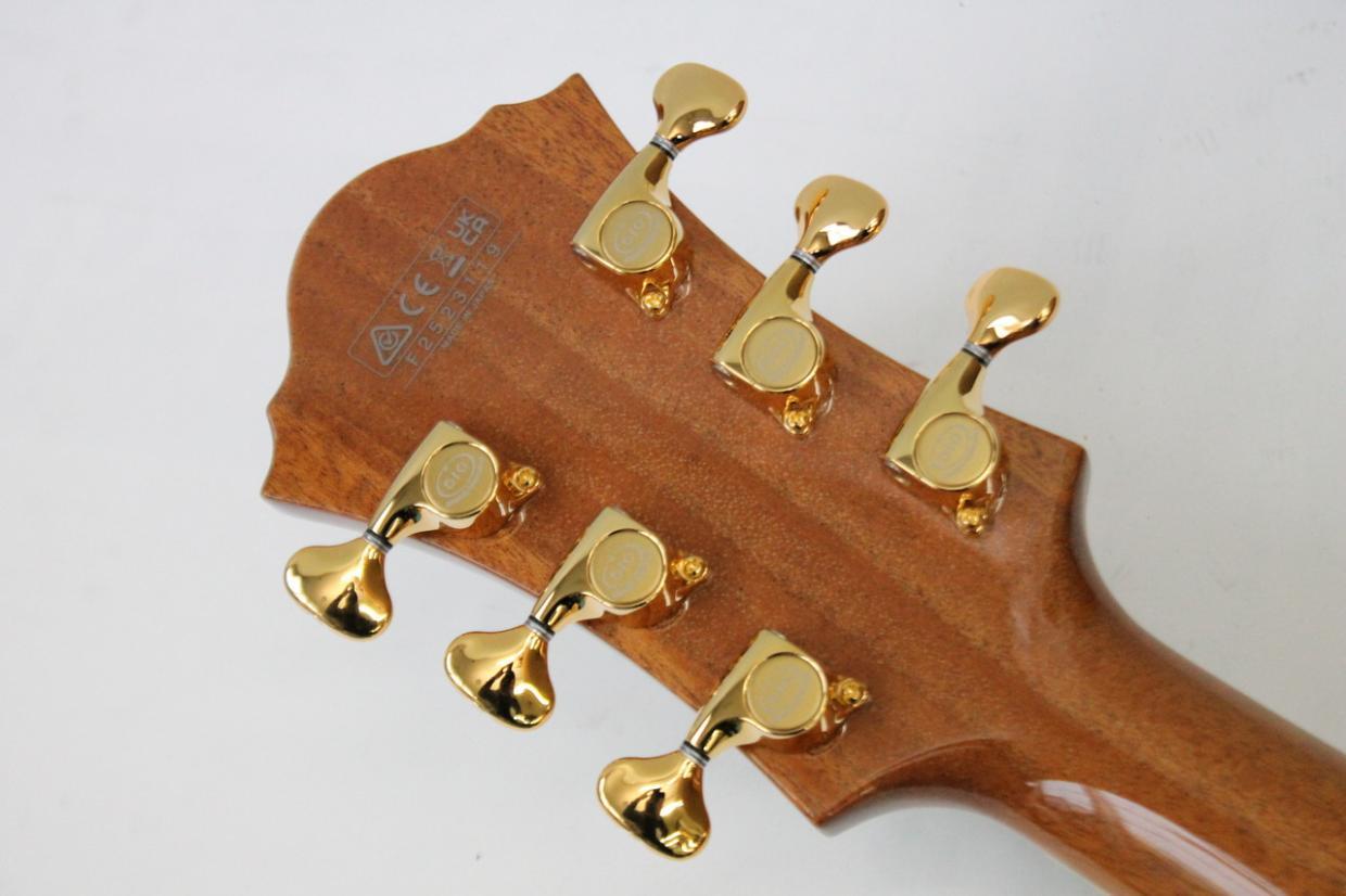 Ibanez PM200 / パットメセニー シグネチャーモデル（新品/送料無料