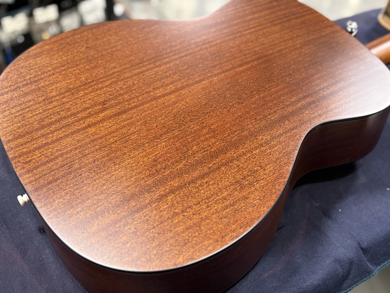 Morris F-1 NAT【専用ケース付】（新品/送料無料）【楽器検索デジマート】