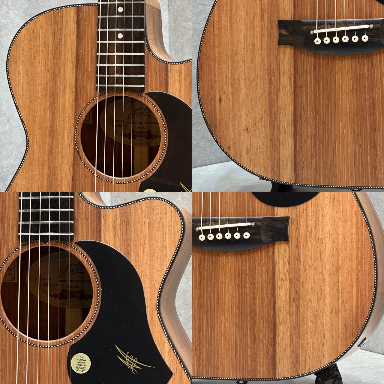 MATON 【Matonフェア 開催中!】【試奏動画あり】EBW808C #32402