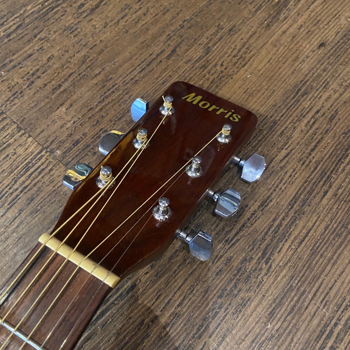 Morris MD-502 Acoustic Guitar（中古/送料無料）【楽器検索