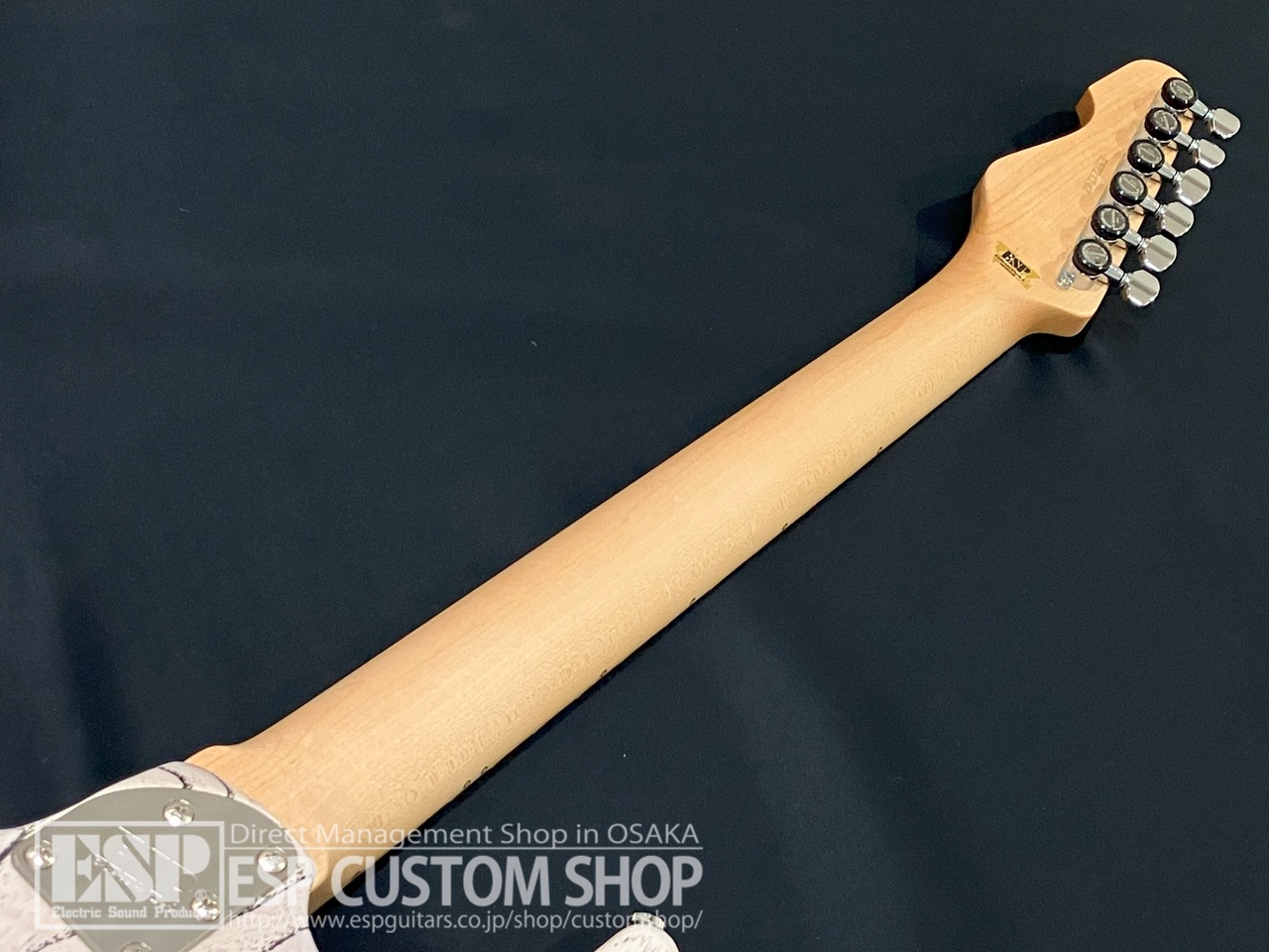 ESP SNAPPER-AS/M Drift Wood White w/Black Filler（新品/送料無料