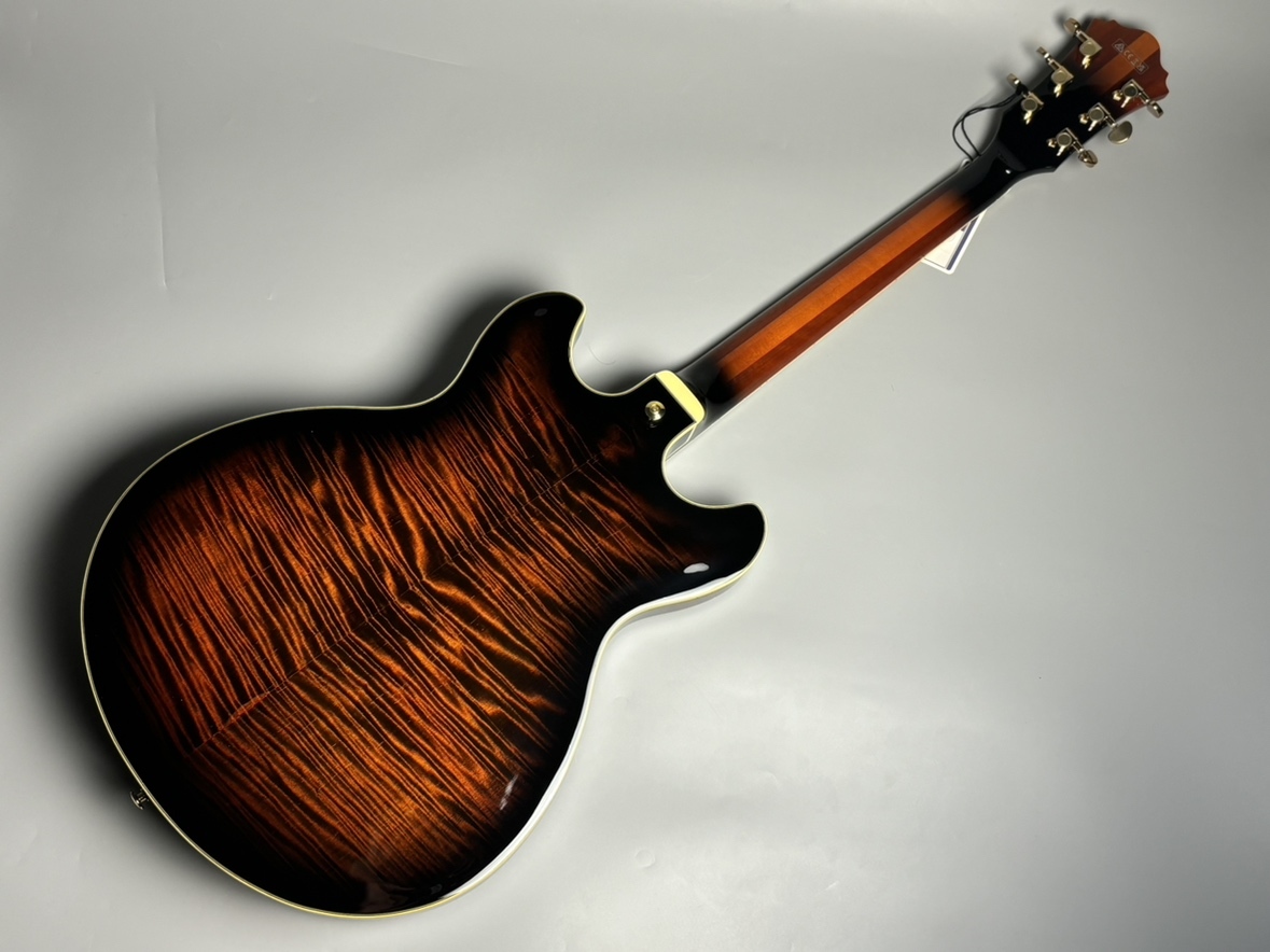 ホビー・楽器・アート user_66df53b3 51aDoPBoKRL.jpg_BO30,255,255,