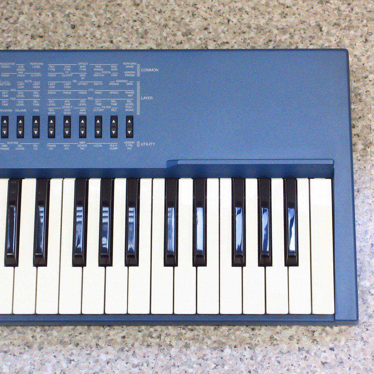 YAMAHA CS1x 
