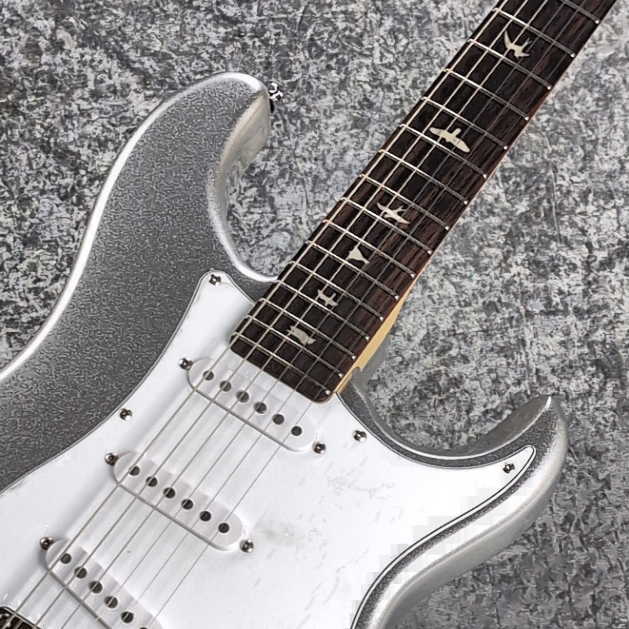 Paul Reed Smith(PRS) SE SILVER SKY Limited Colors ~Platinum Spark
