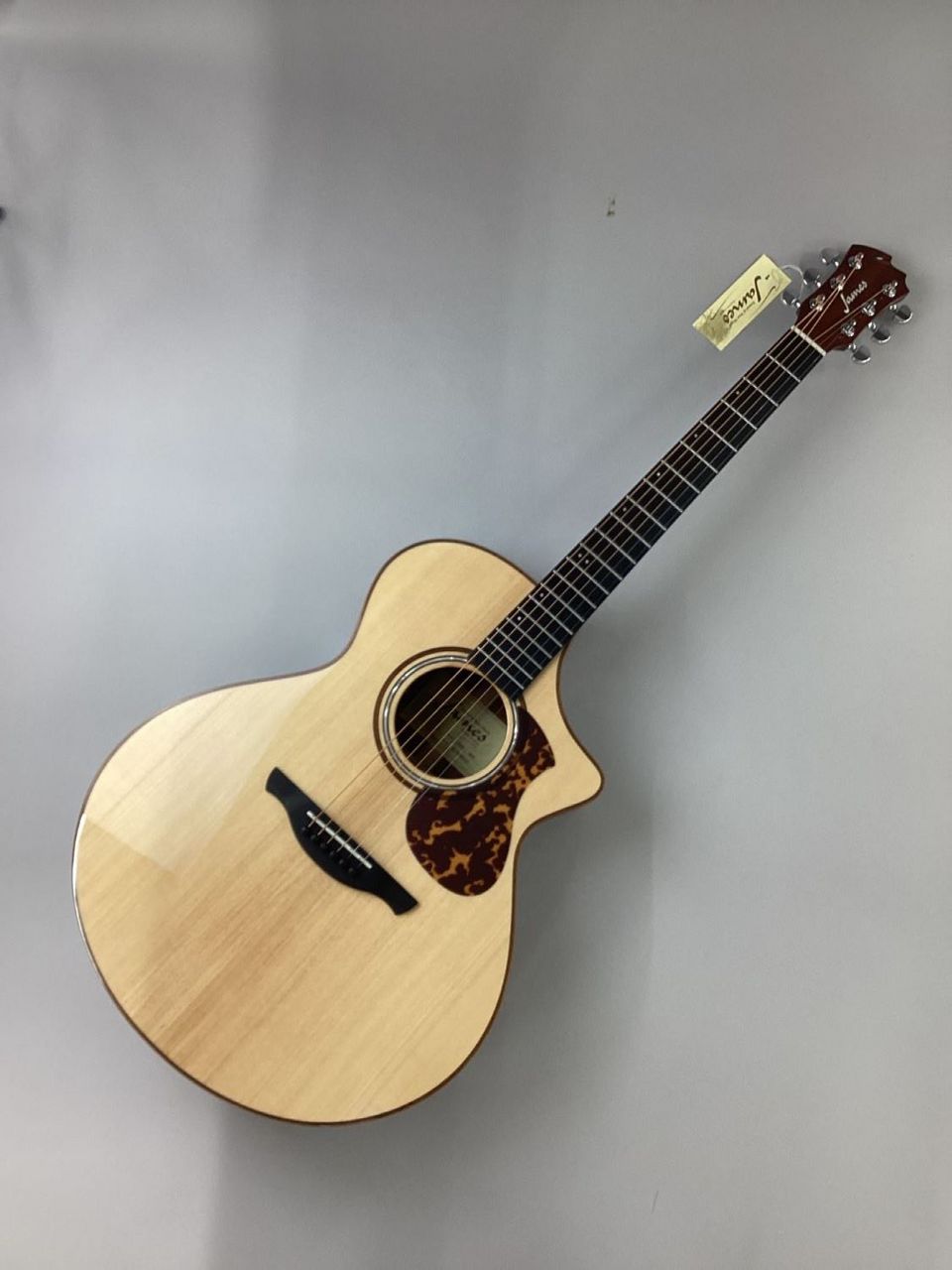 James J-900/C Natural L.R.Baggs PU搭載エレアコ オール単板 オーディ