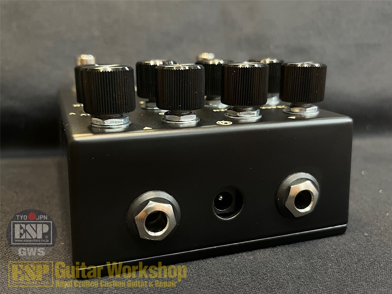WALRUS AUDIO Lore Reverse Soundscape Generator（新品/送料