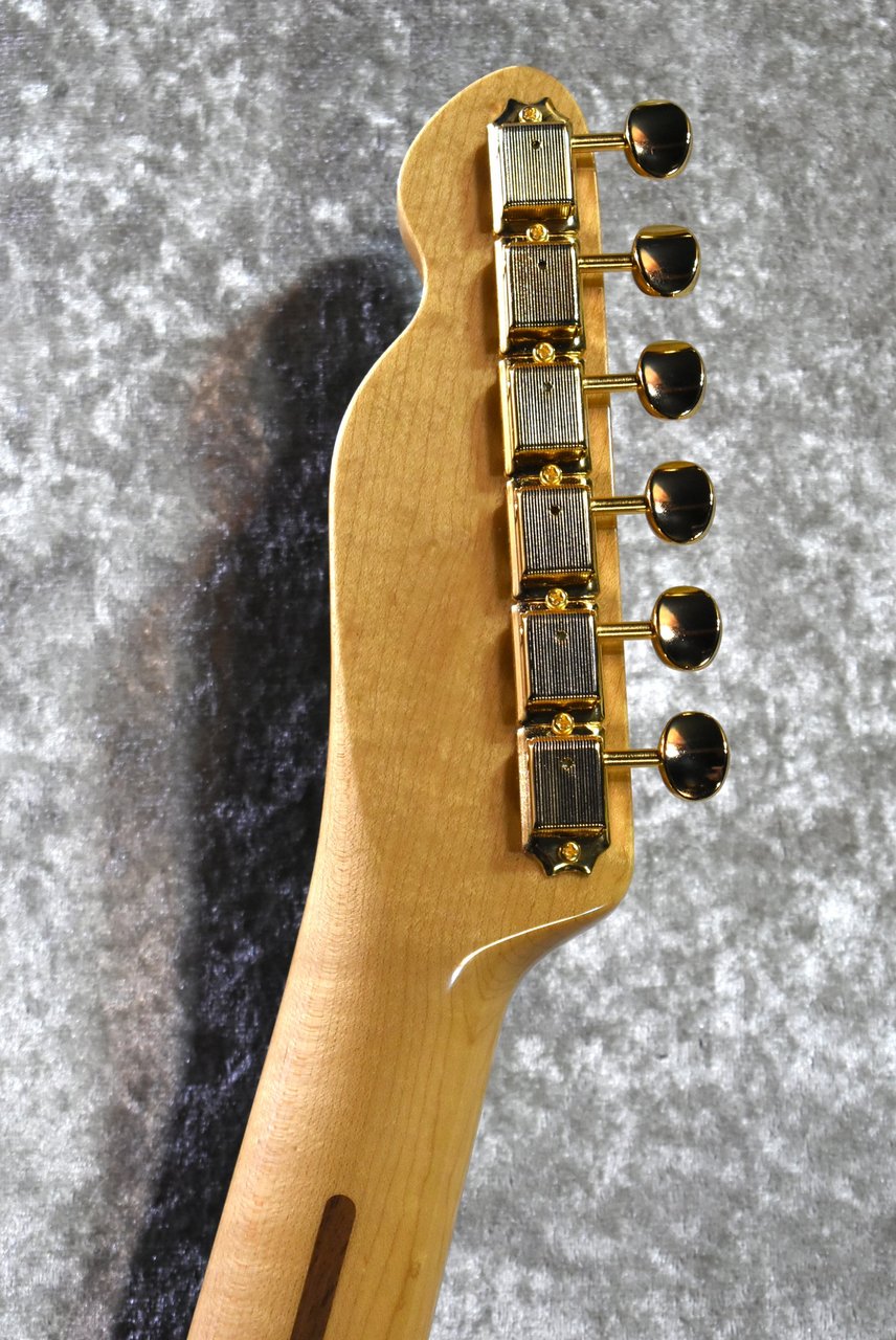 Tokai ATE-101B/G BBR #250619【待望の入荷、漆黒指板、3.81kg】（新品