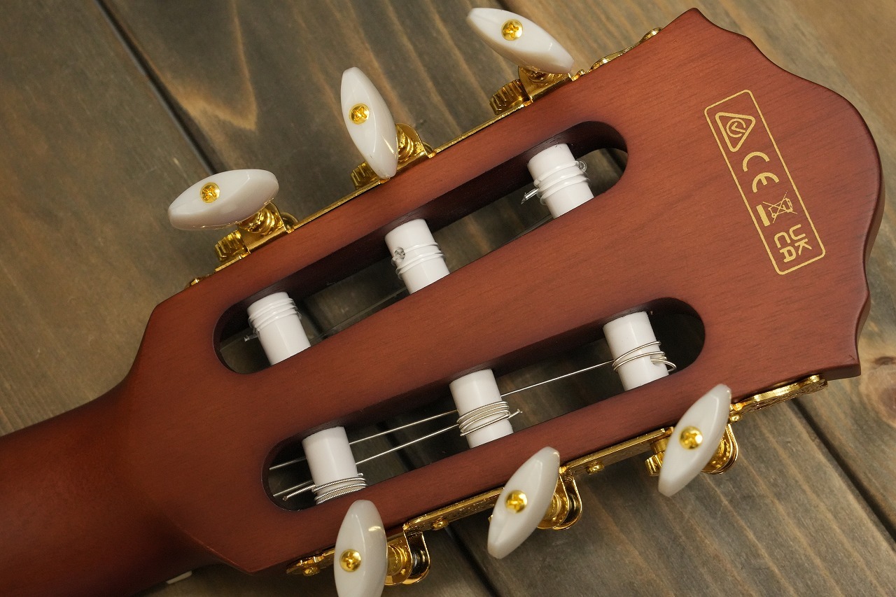 Ibanez FRH10N BSF エレガットギター（新品/送料無料）【楽器検索