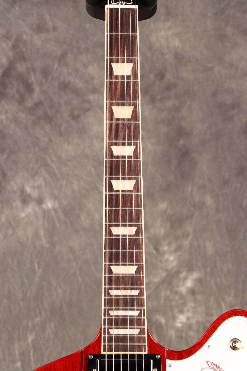 ファイヤーバード 2015年 TAK MATSUMOTO FIREBIRD | ファイヤーバード ブログ