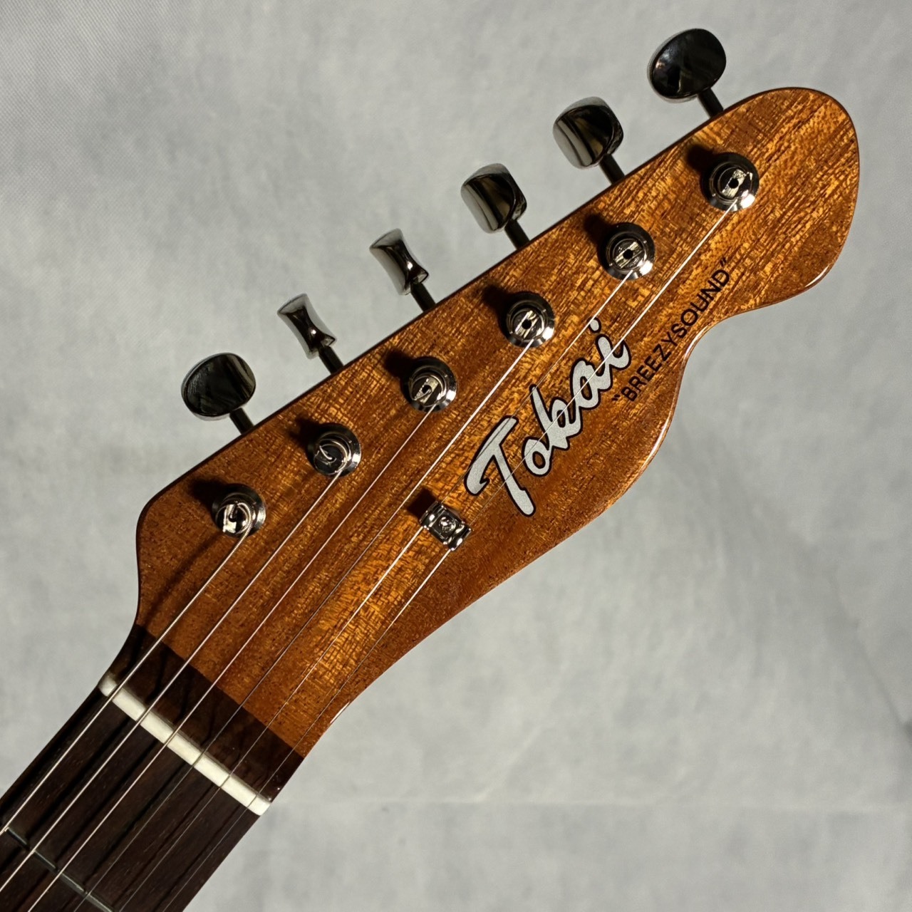 Tokai ATE103S（新品/送料無料）【楽器検索デジマート】