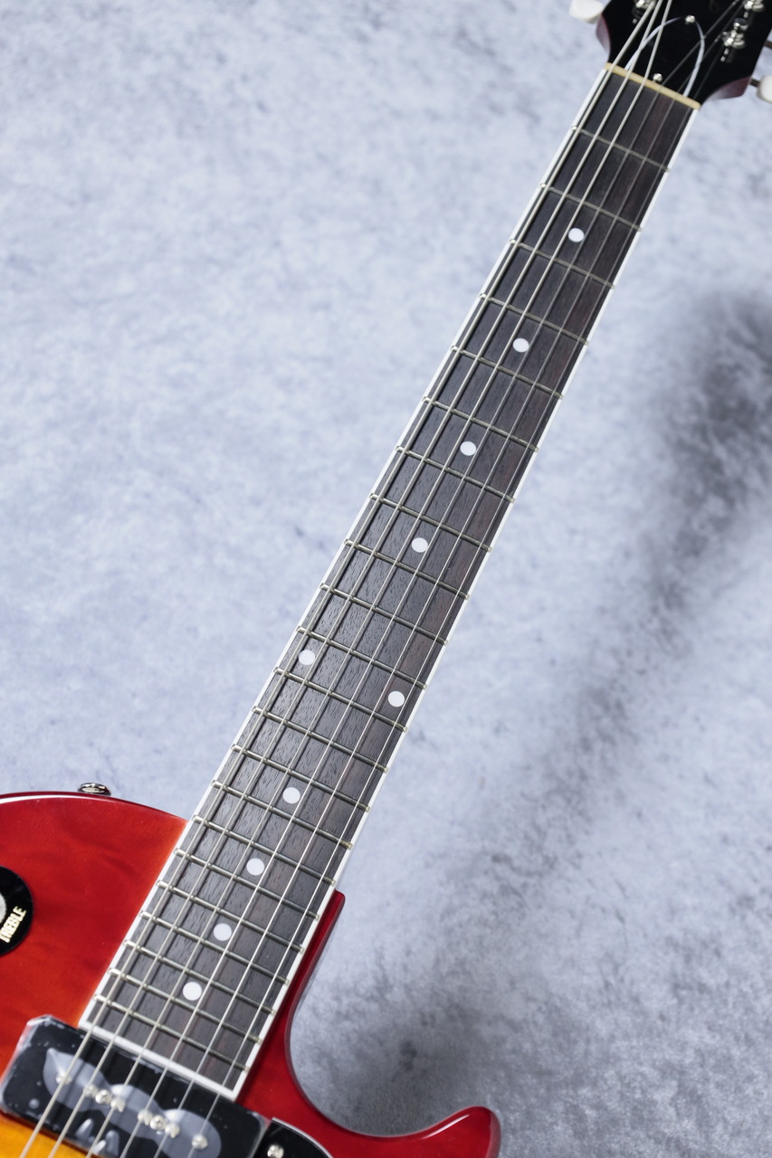 TOKAI LR30 or LR40 ？　日本製 Tokai SUPER EDITION SD40-ABR 1980年代製 買取ました