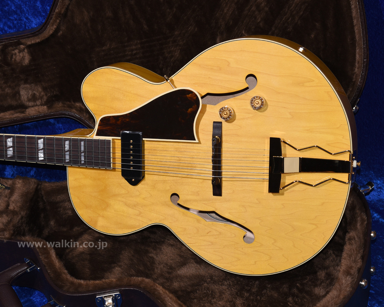 Archtop Tribute AT350 Classic（新品）【楽器検索デジマート】