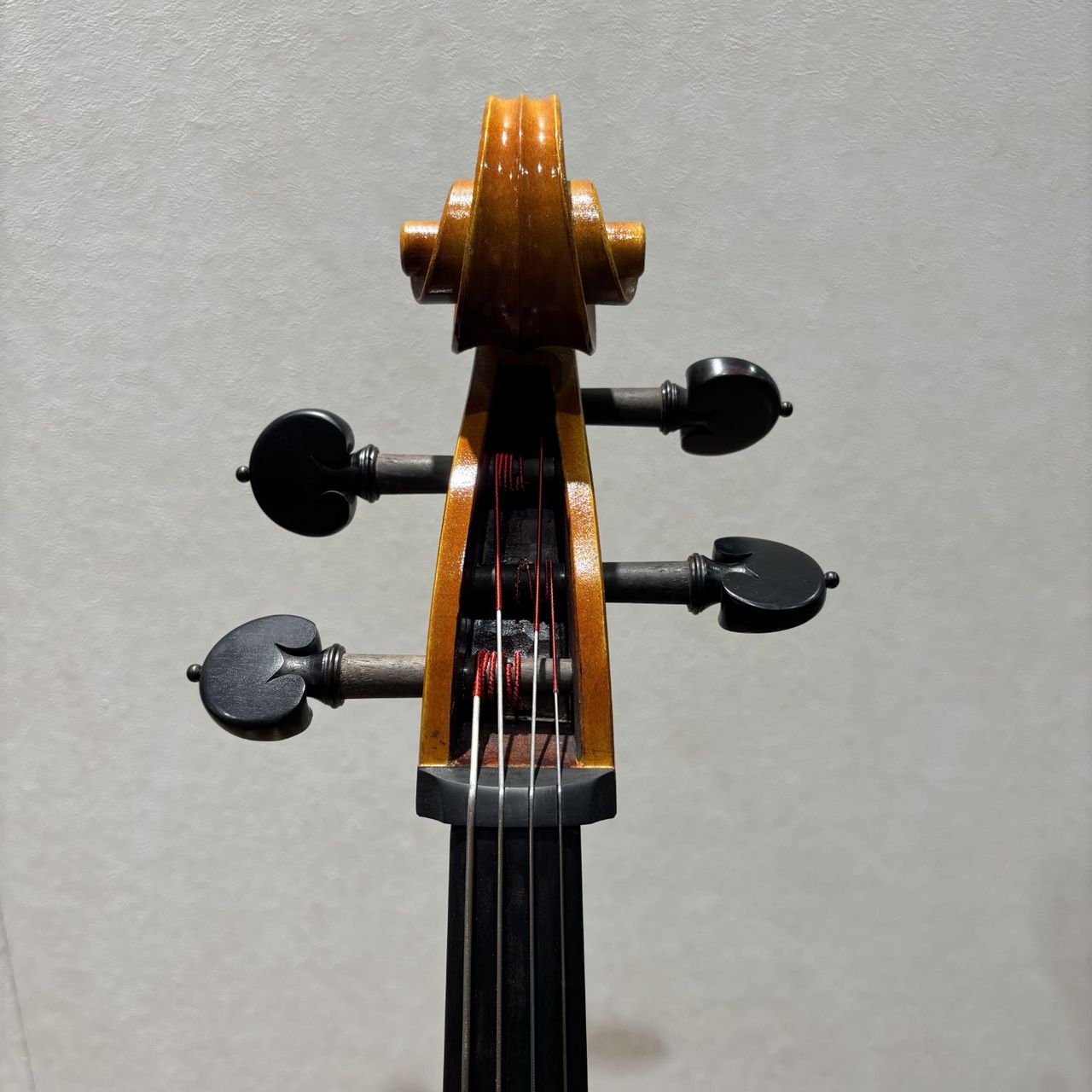 Anton Prell チェロ AntonPrell Prell-S/Vc 4/4（新品/送料無料