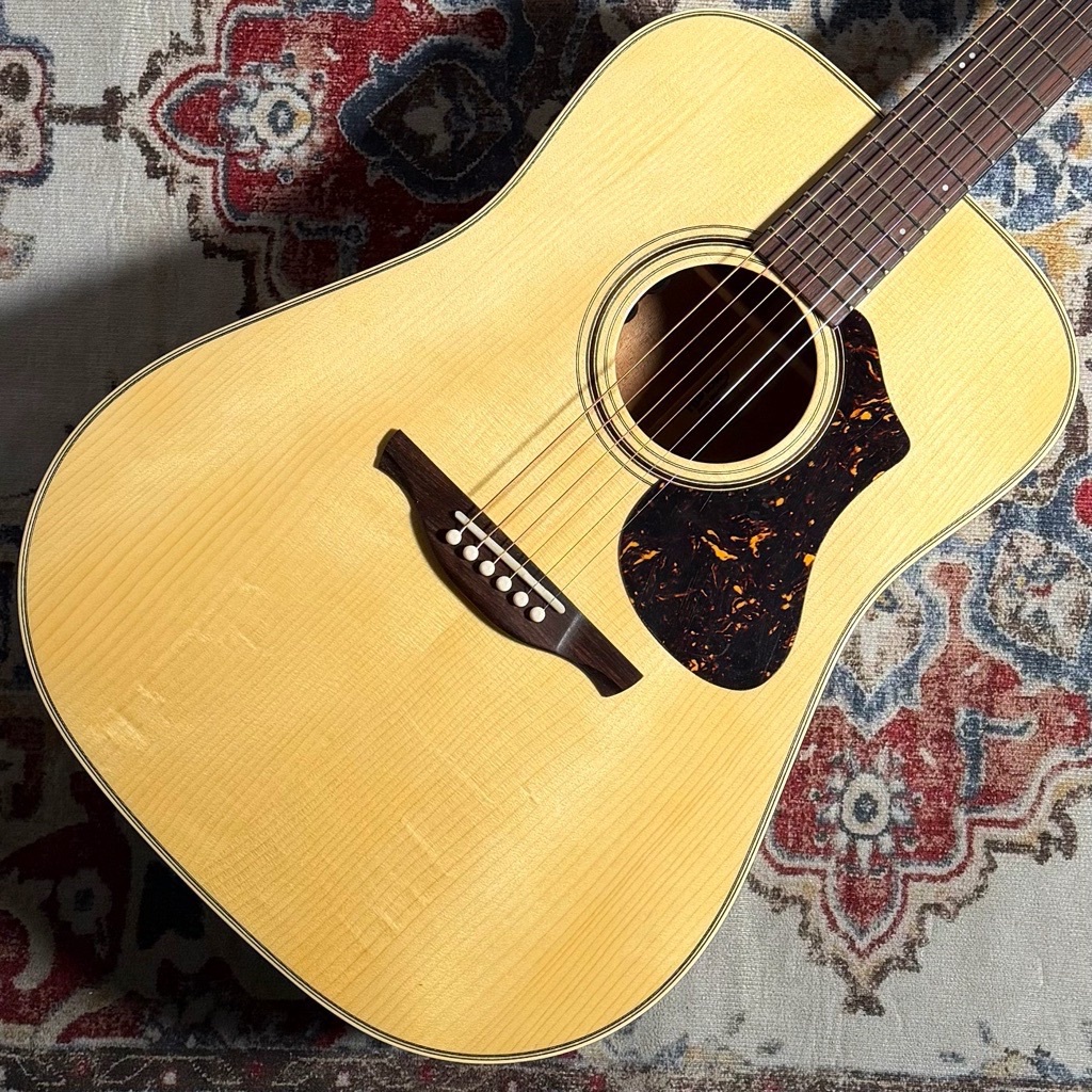 HISTORY NT-L4 専用ハードケース付き エレアコ ギター History NT-04