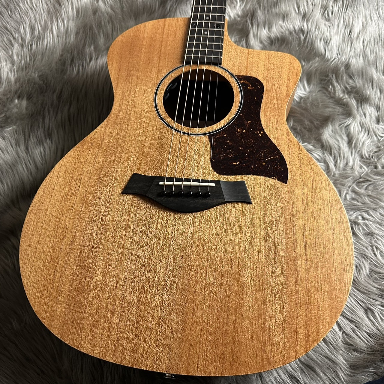 Taylor 24ce【現物画像】【最大36回分割無金利 実施中】（新品/送料