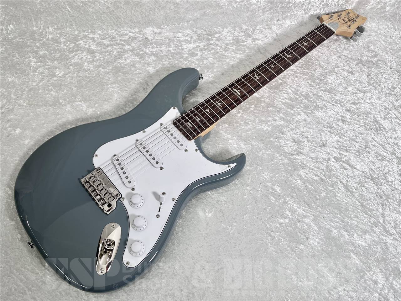 Paul Reed Smith(PRS) SE SILVER SKY (Storm Gray) 2024年製