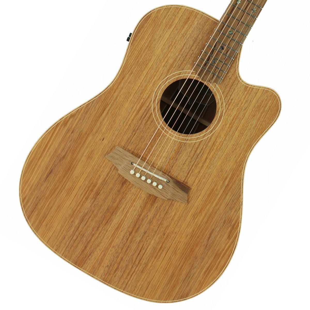 Cole Clark Touring Series CCFL2EC-BLBL 2 Grade All Blackwood