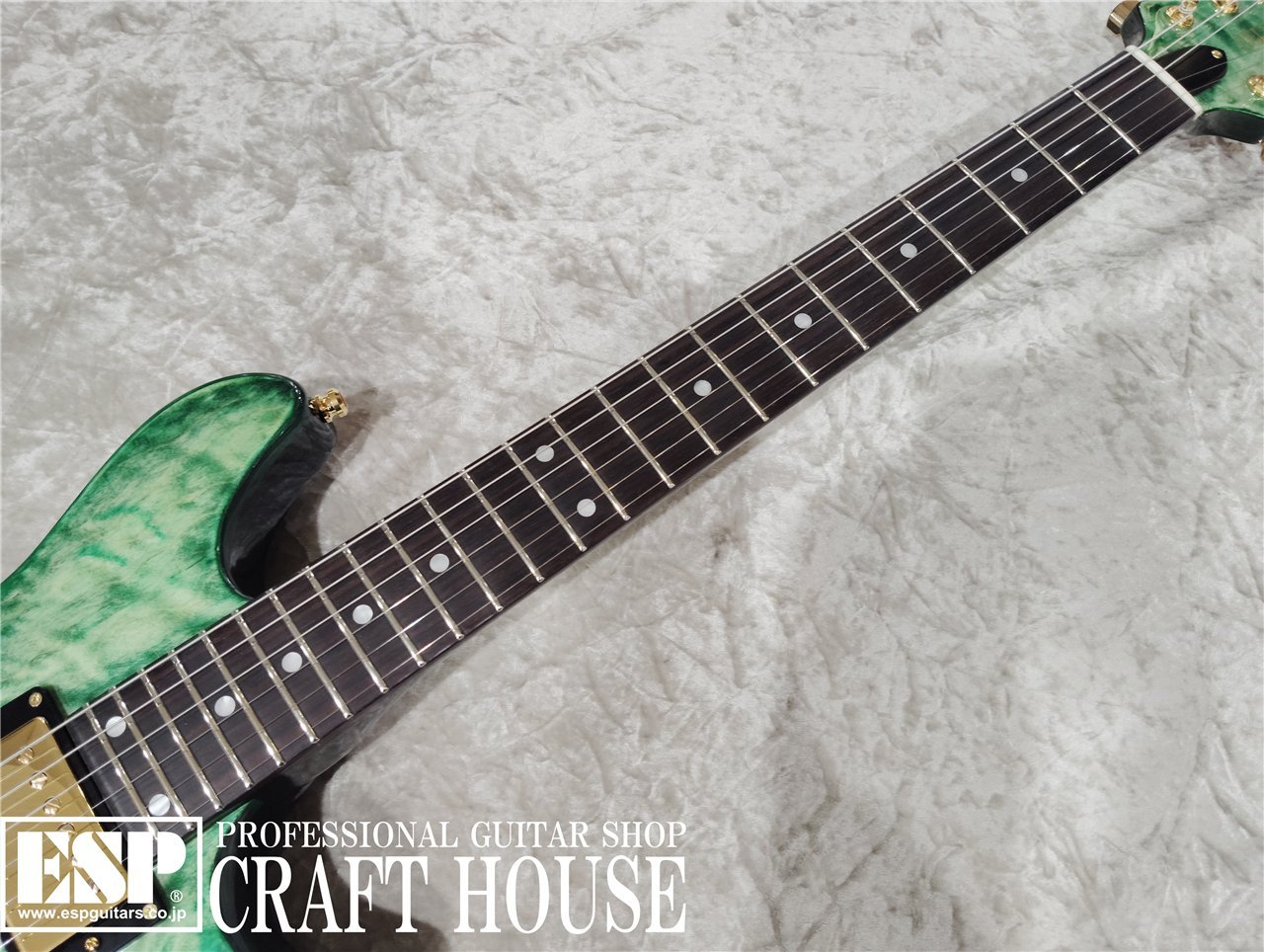 EDWARDS E-U-HL2 / Malachite Green（新品/送料無料）【楽器検索