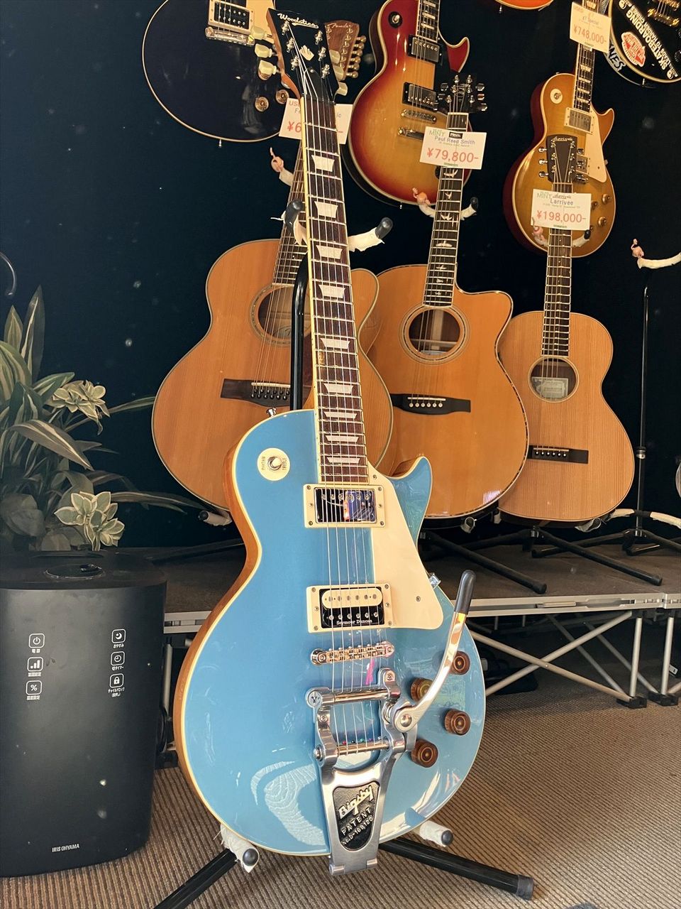 Woodstics WS-LP-STD/B (Pelham Blue) 