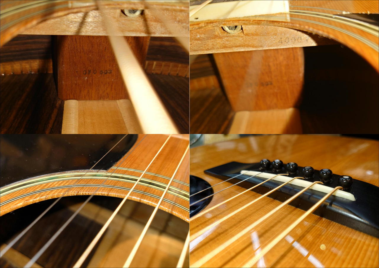 【送料込】モーリス　MORRIS　MD505　整備済　美品　低弦高　新品弦 送料込】モーリス MORRIS MD505 整備済 美品 低弦高 新品弦