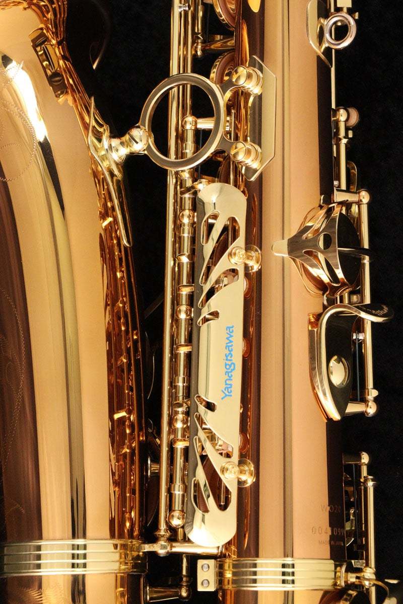 YANAGISAWA Alto A-WO20 SN.004xxxxx アルトサックス 【ウインドパル