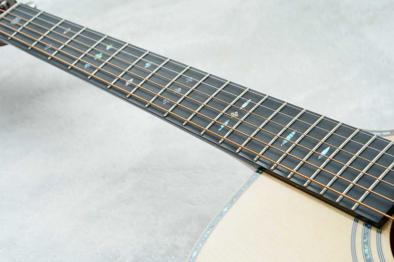 Stafford SF-5C -Natural-【数量限定アクセサリーセット付!】【初心者