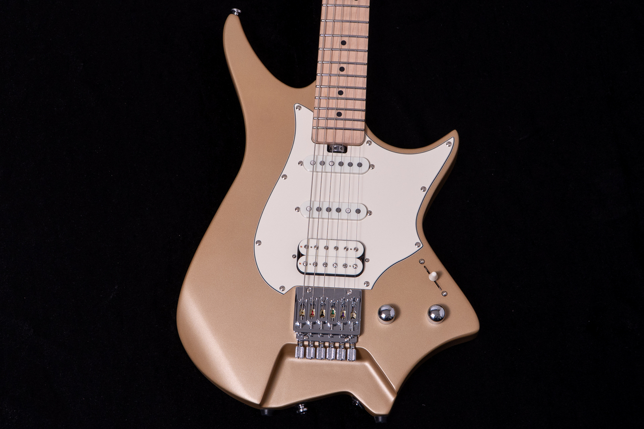 HEX Guitars NS100M S/SS（新品/送料無料）【楽器検索デジマート】