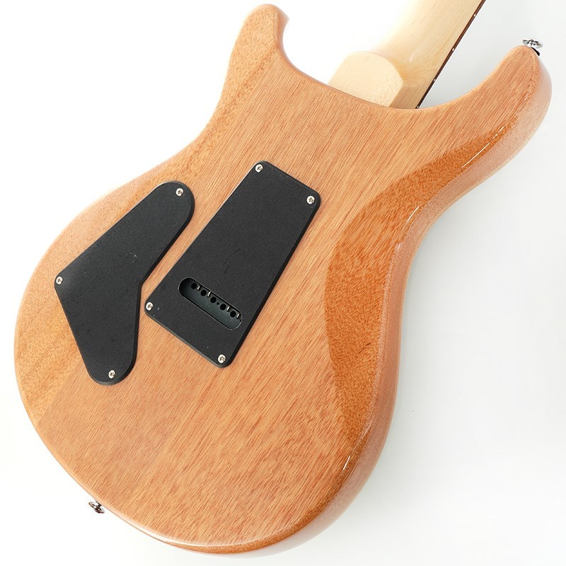 Paul Reed Smith(PRS) SE Custom 24 (Trampas Green)（新品）【楽器