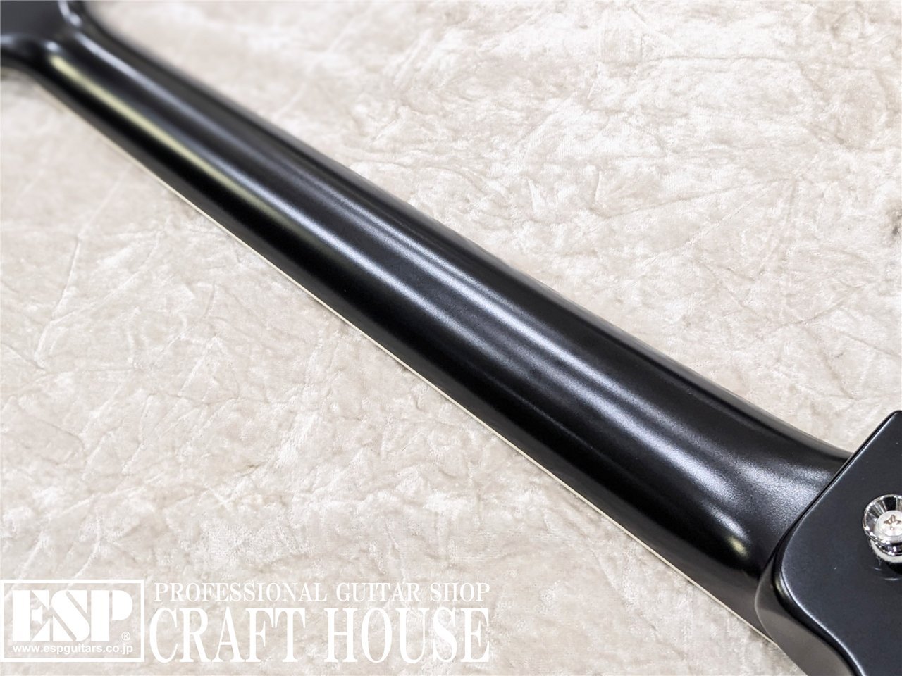 Zemaitis Metal Fronts MFV22 / Black（新品特価/送料無料）【楽器検索