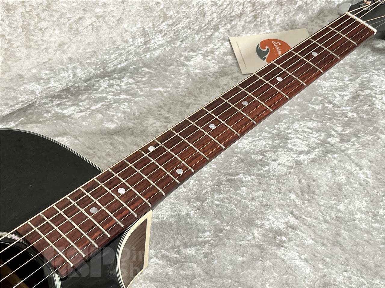 Eastman PCH2-GACE-BK（新品/送料無料）【楽器検索デジマート】
