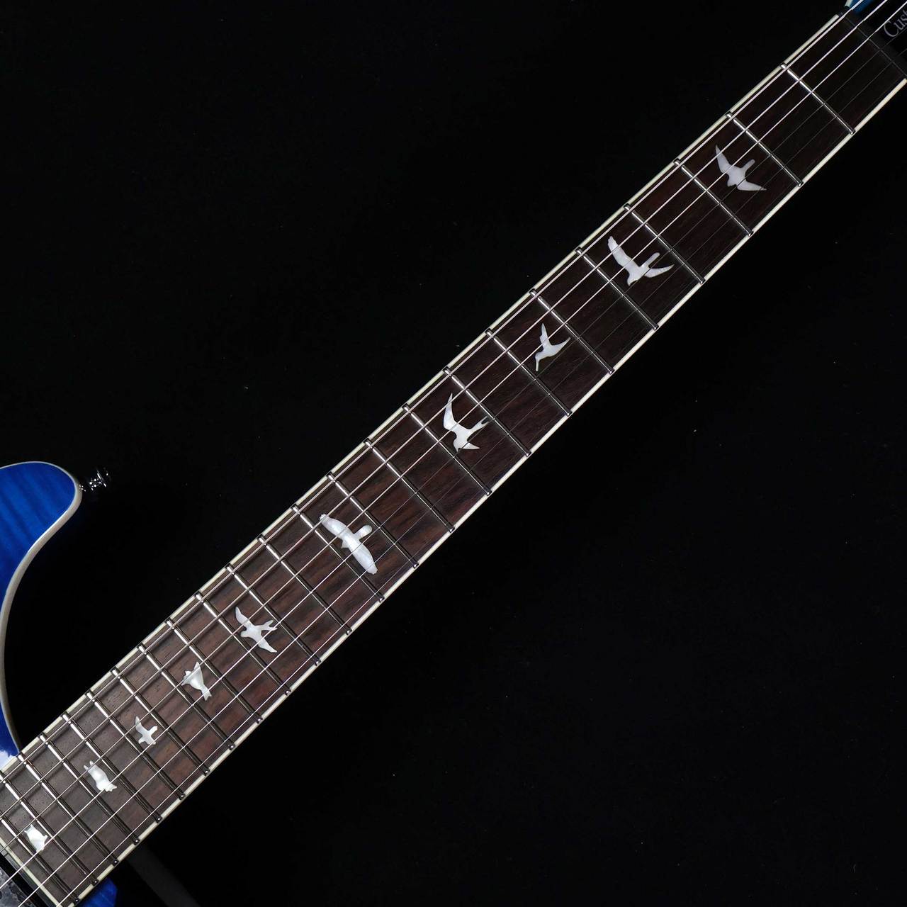 Paul Reed Smith(PRS) SE Custom24 Semi-Hollow Piezo 【未展示品