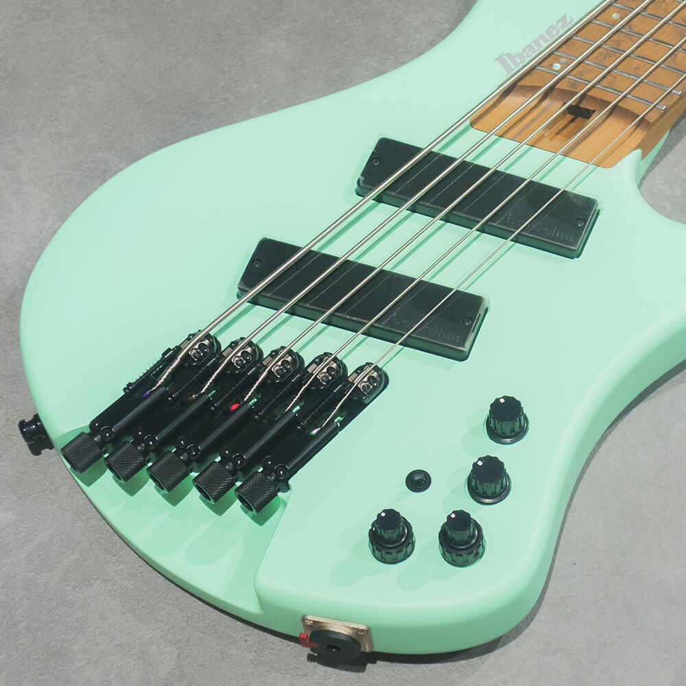 Ibanez EHB Workshop EHB1005MS-SFM【ヘッドレス5弦マルチスケール