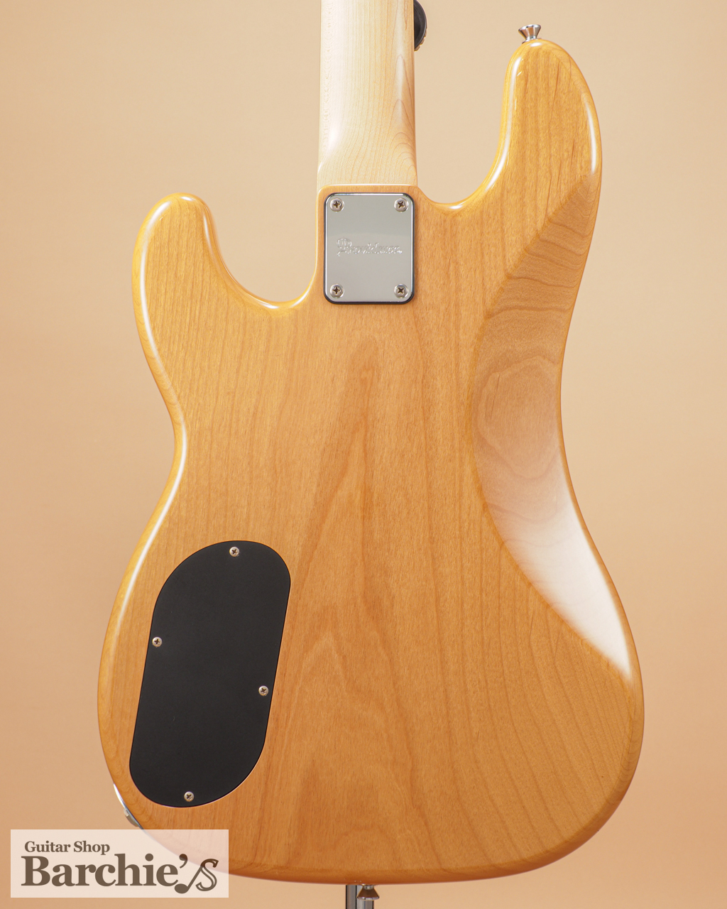 Providence aCB-200PR（中古）【楽器検索デジマート】