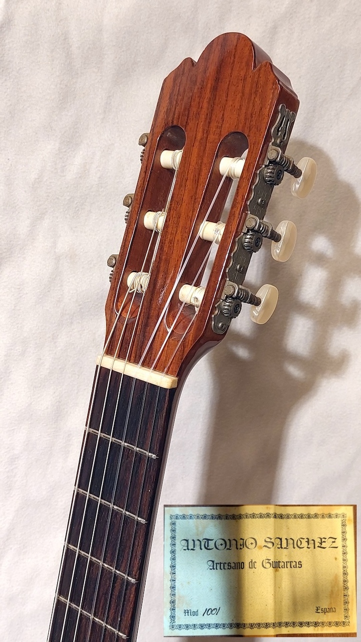 Antonio Sanchez #1008 松/マホガニー【名器・超美品】 【公式通販】