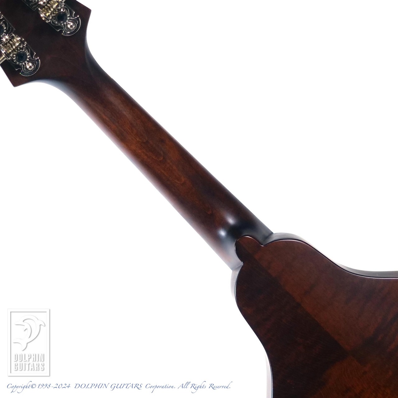 Eastman MD-304（新品）【楽器検索デジマート】