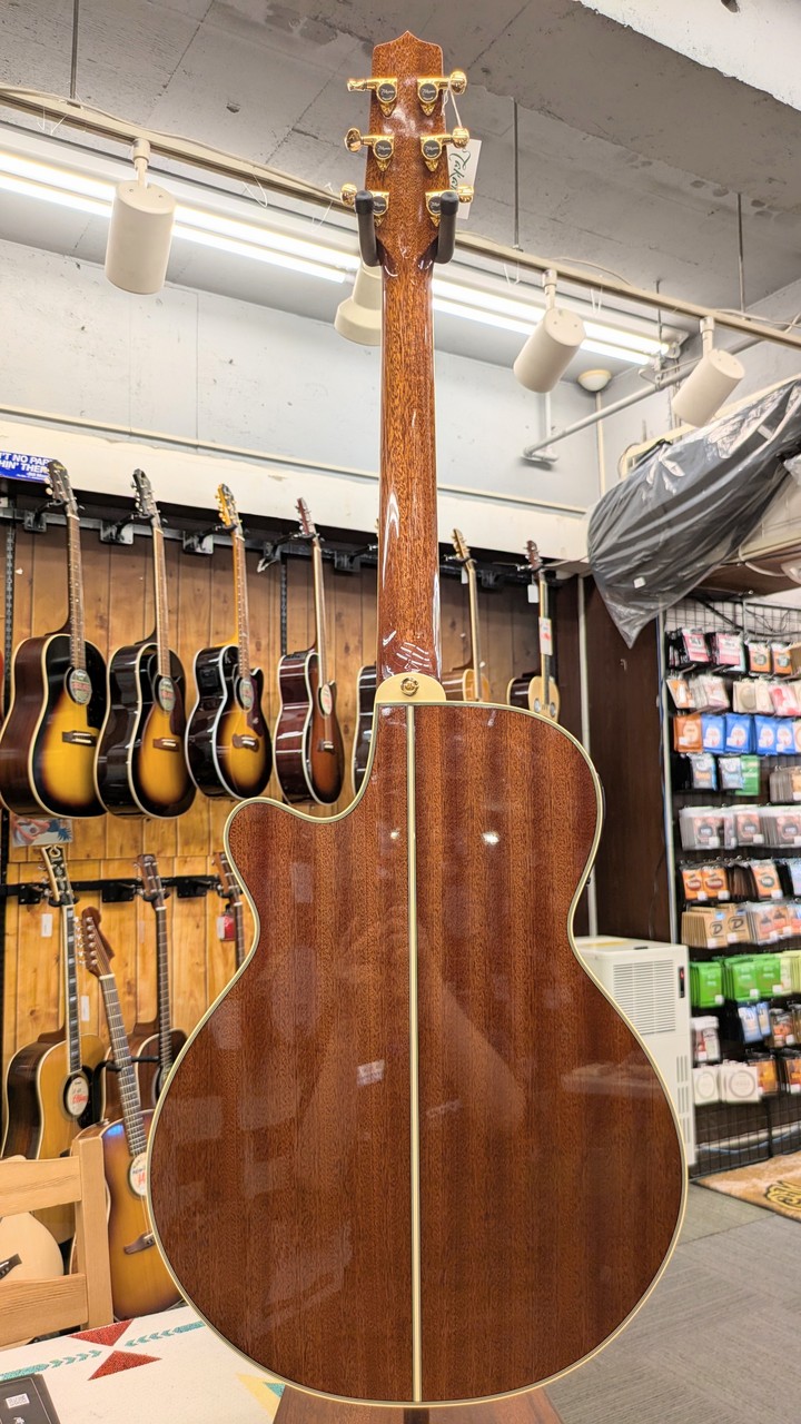 Takamine TSP138C N 【無金利分割OK】（新品/送料無料）【楽器