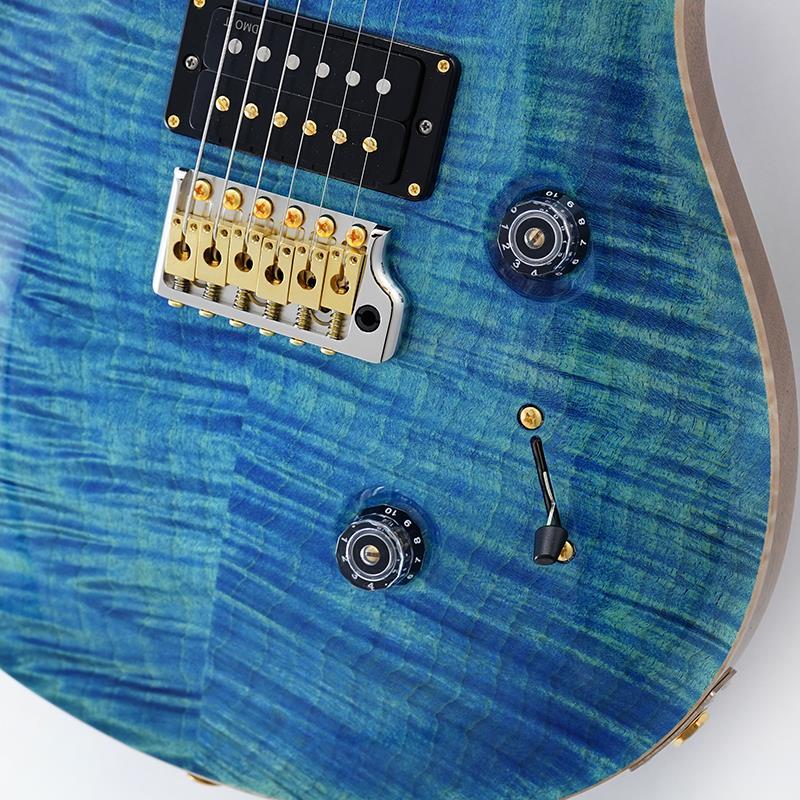 Paul Reed Smith(PRS) Custom 24 10 Top (Custom Color) SN.0421879