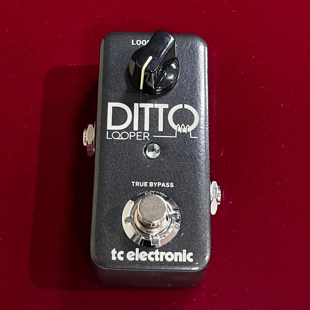 tc electronic DITTO LOOPER（新品/送料無料）【楽器検索デジマート】