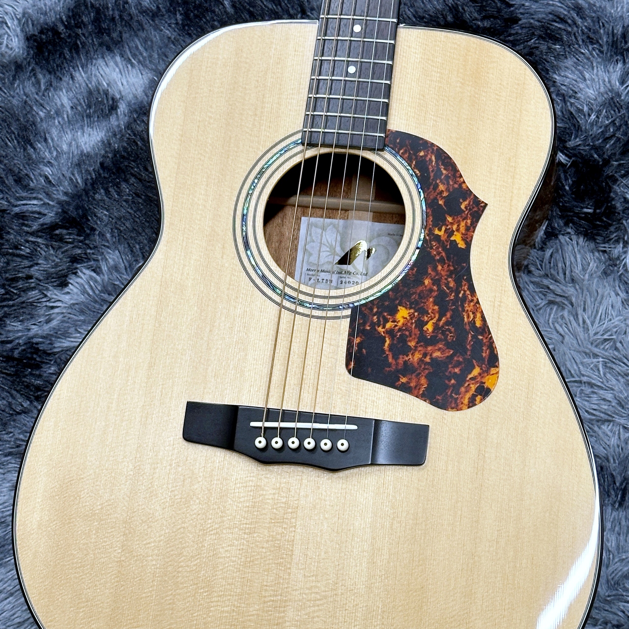 Morris F-LTD II NAT【日本製】【オール単板】（新品/送料無料