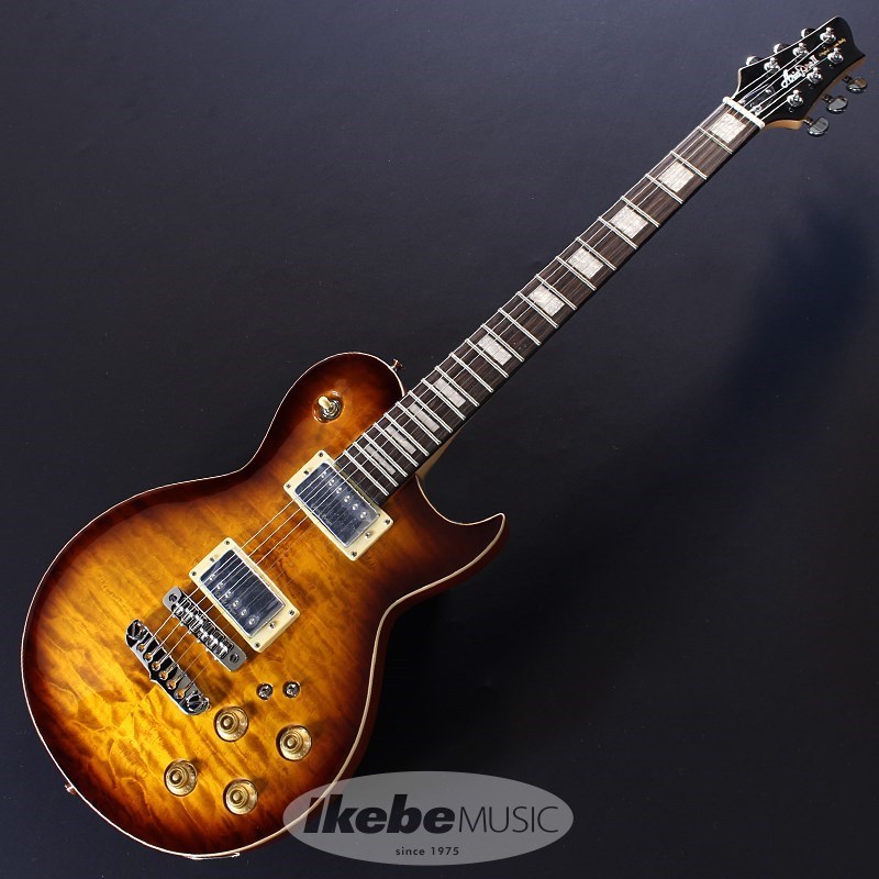 Aria Pro II PE-480 (Brown Sunburst)（新品）【楽器検索デジマート】