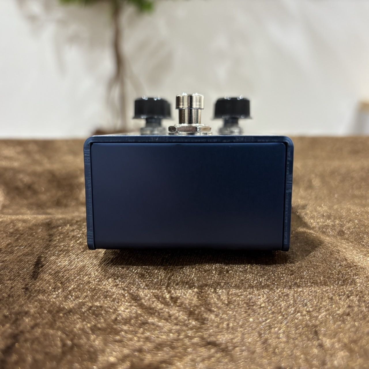 VIRTUES 《再入荷 / 迅速発送！》Stella ステラ（新品/送料無料