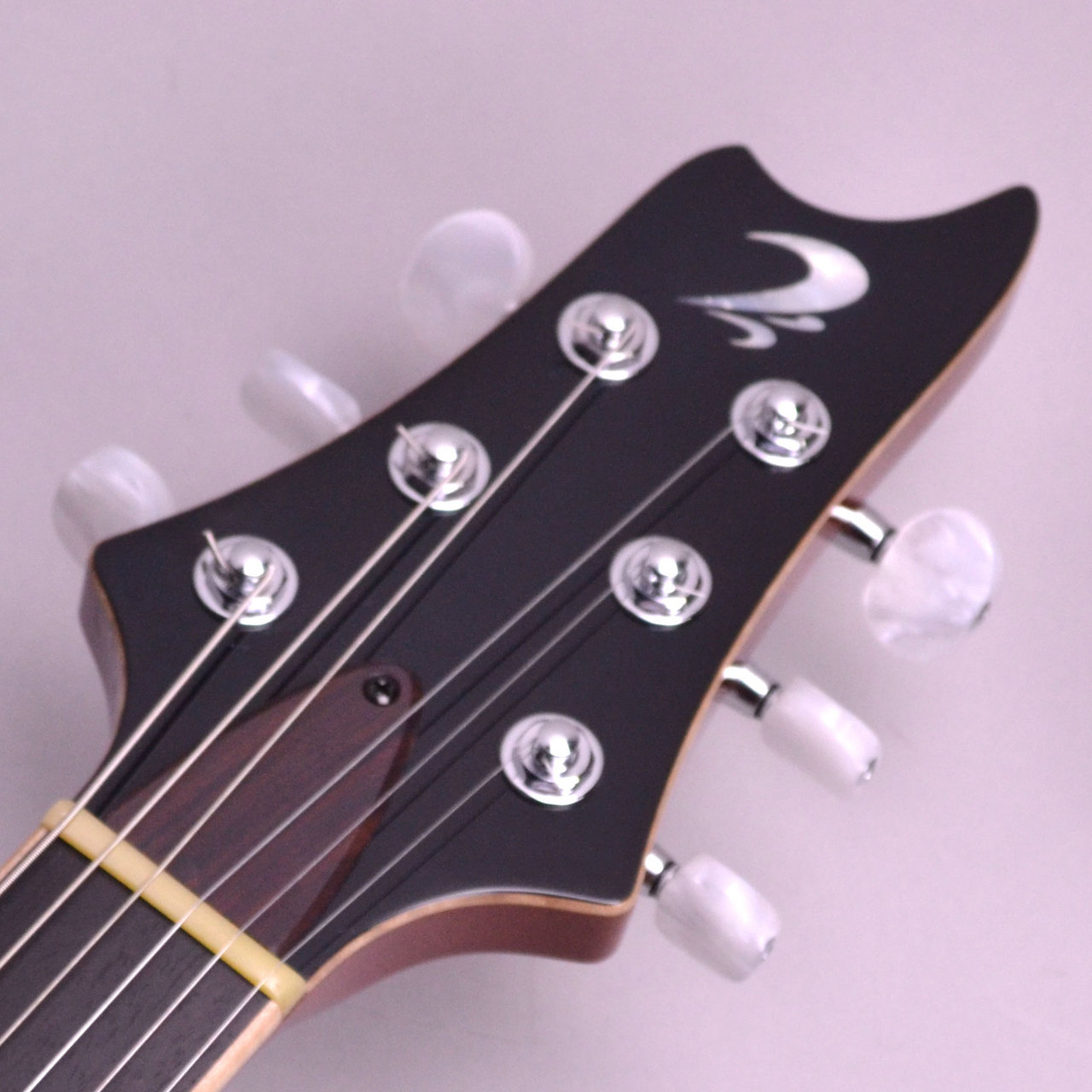 T's Guitars Arc-STD22 Lux（新品/送料無料）【楽器検索デジマート】