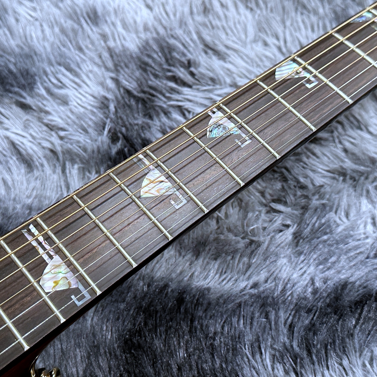 Takamine DSF48C -World Standard Series-【希少入荷!】【2025年