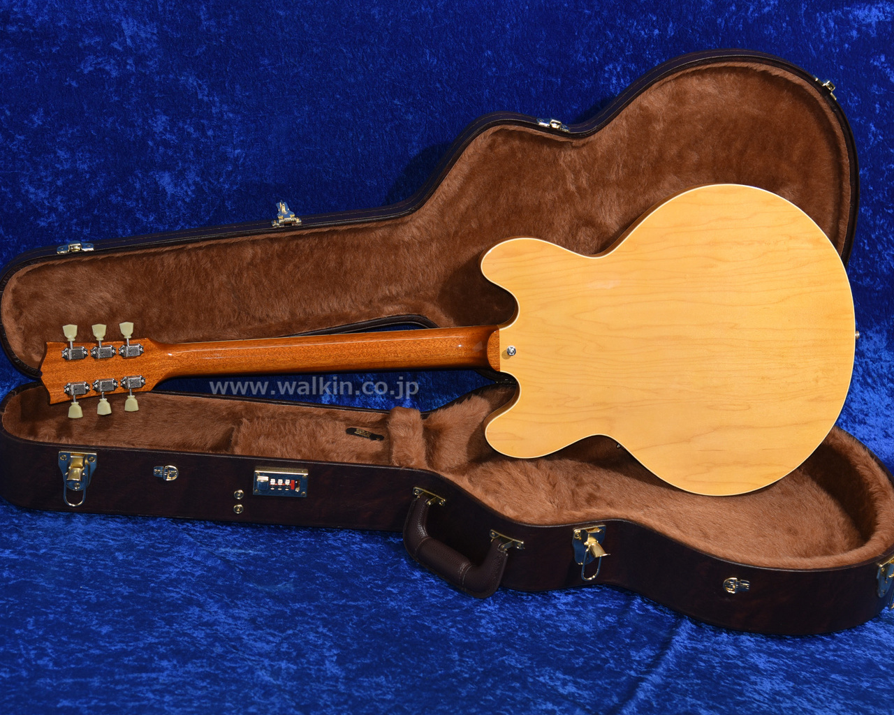 Archtop Tribute AT135STP（新品）【楽器検索デジマート】