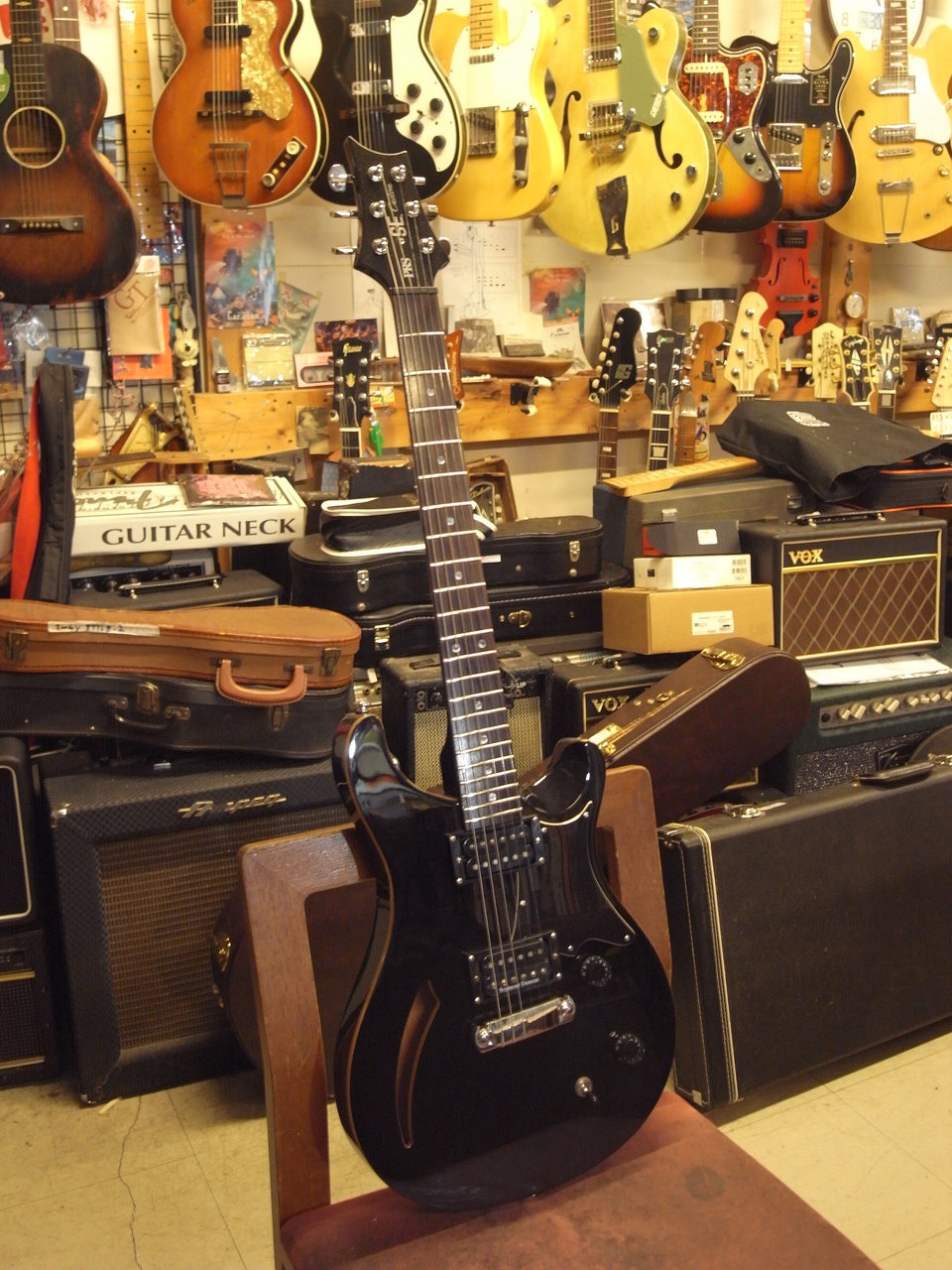 PRS SE Custom 22 セミホロウボディギター Paul Reed Smith(PRS) SE CUSTOM22 セミホロウ（中古）【楽器検索