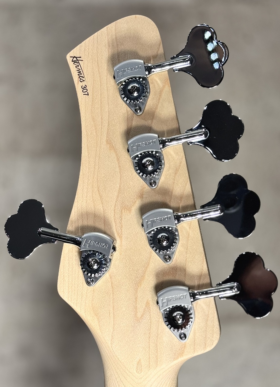 Kikuchi Guitars Hermes MV5 (5st Ash/Maple) / Trans Black #307