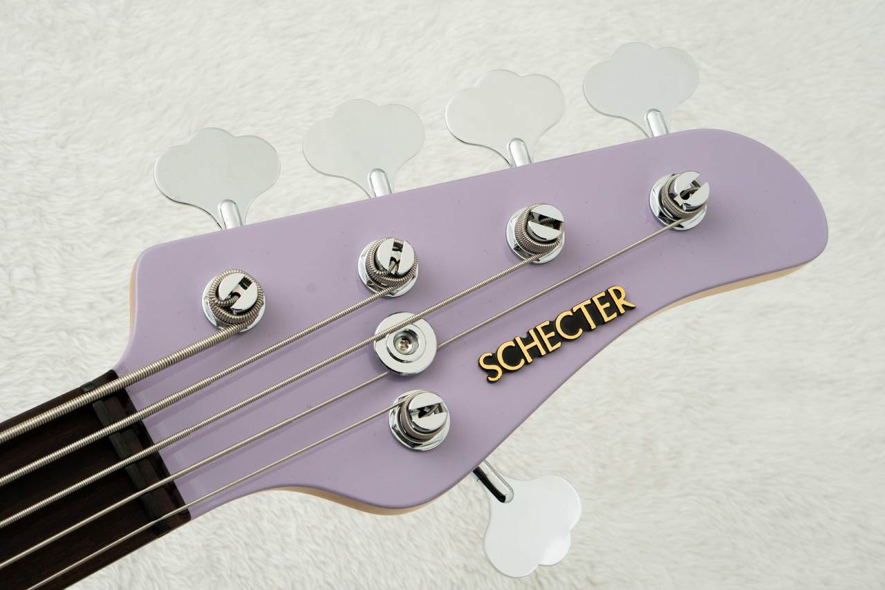 SCHECTER AC-EXB-5-AveMujica/Timoris/SIG #260707 【Ave Mujica