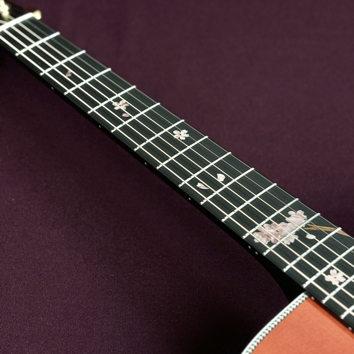 Headway HD-SHIKIZAKURA'25/STD 【現物画像】（新品/送料無料）【楽器