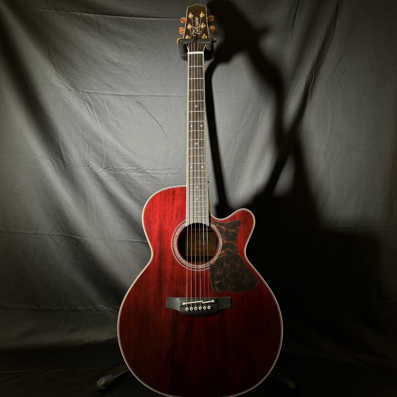 Takamine DMP50S WR エレアコギター セミハードケース付属 【島村楽器 